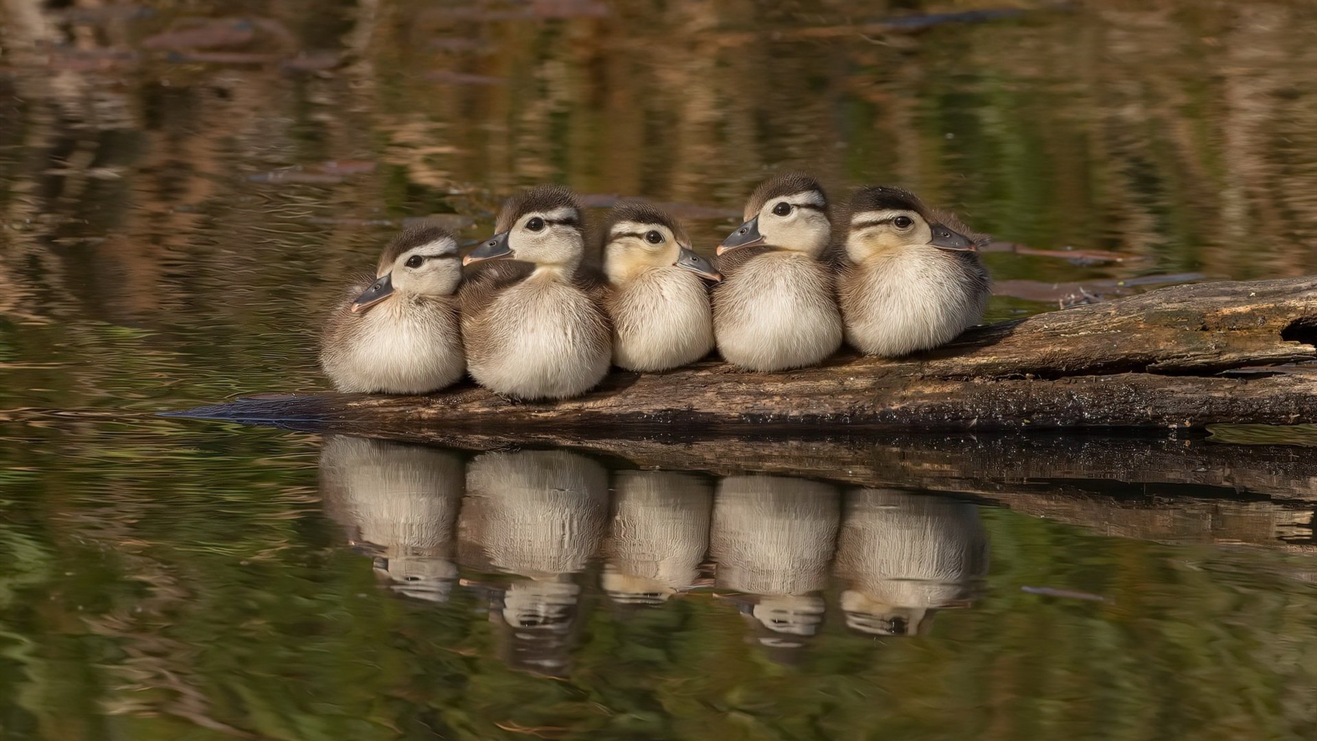 爱游戏官方-梅州客家门将扑出点球成关键先生，梅州客家足球最新消息