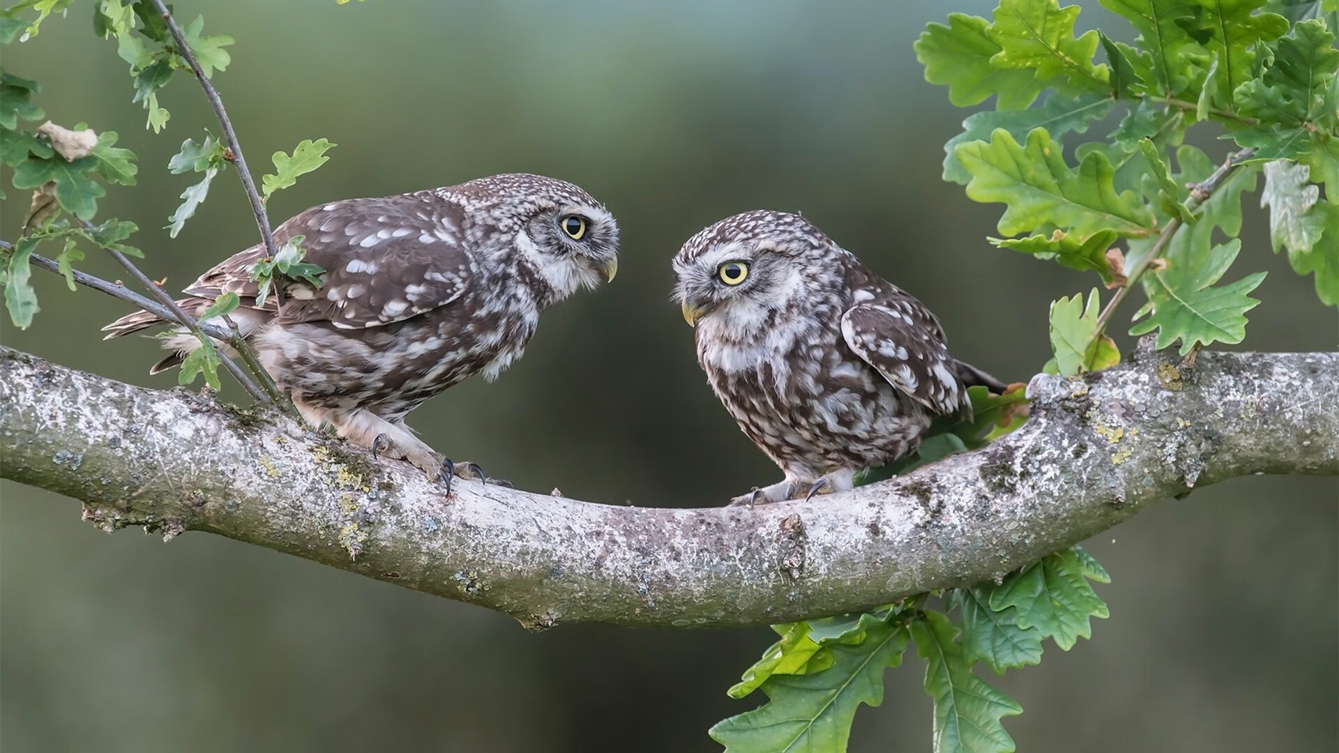 爱游戏平台-比赛数据实时更新，满足球迷需求，球员比赛数据
