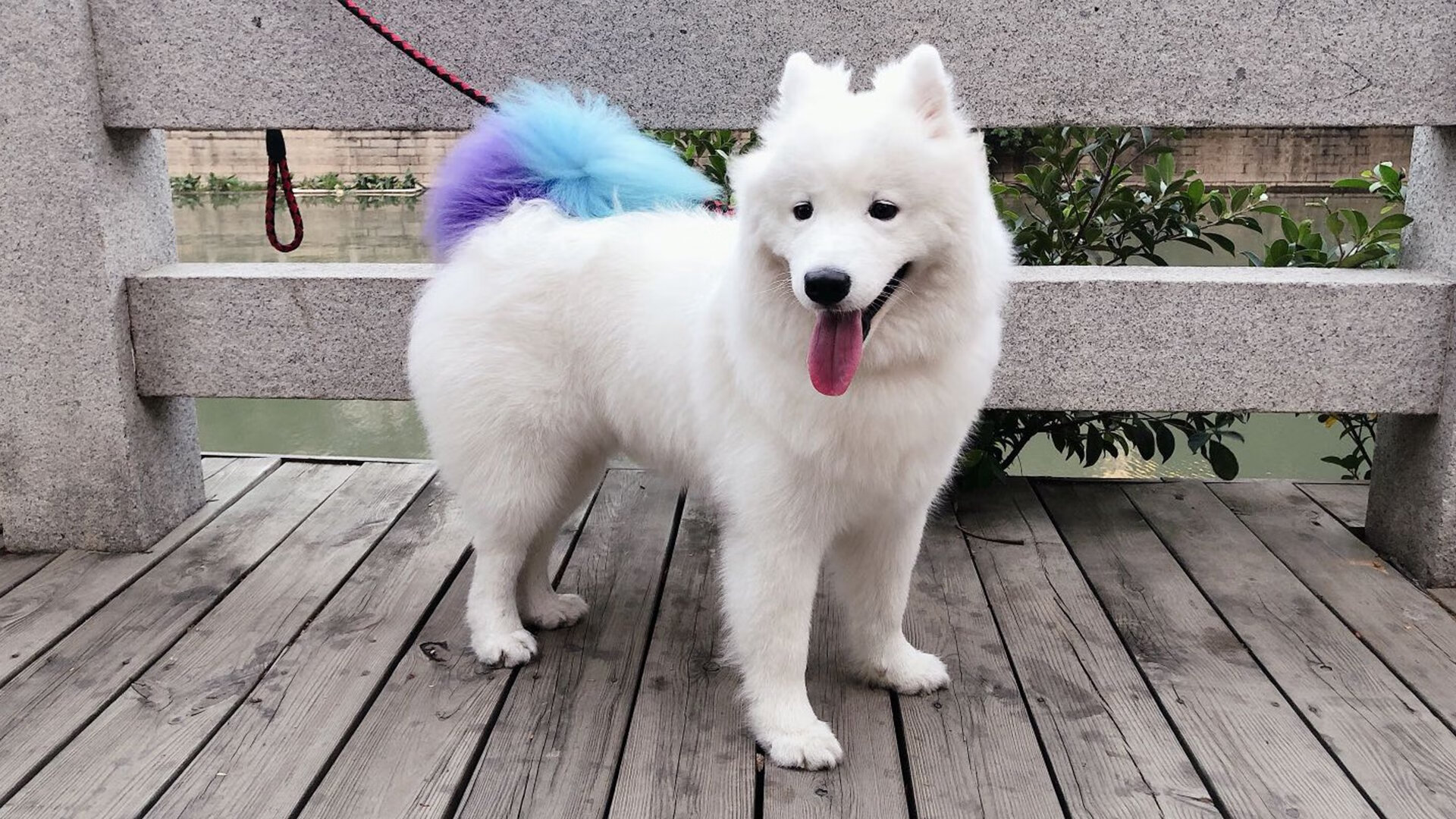 爱游戏app-经典重现：那一场场永恒的“巅峰对决”，经典重现是什么意思