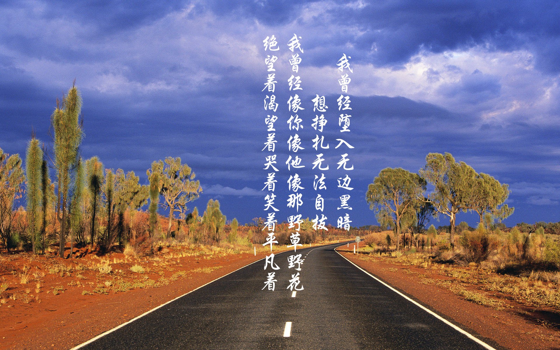 CBA球队新帅上任，带领球队冲击冠军荣耀，cba球队队员