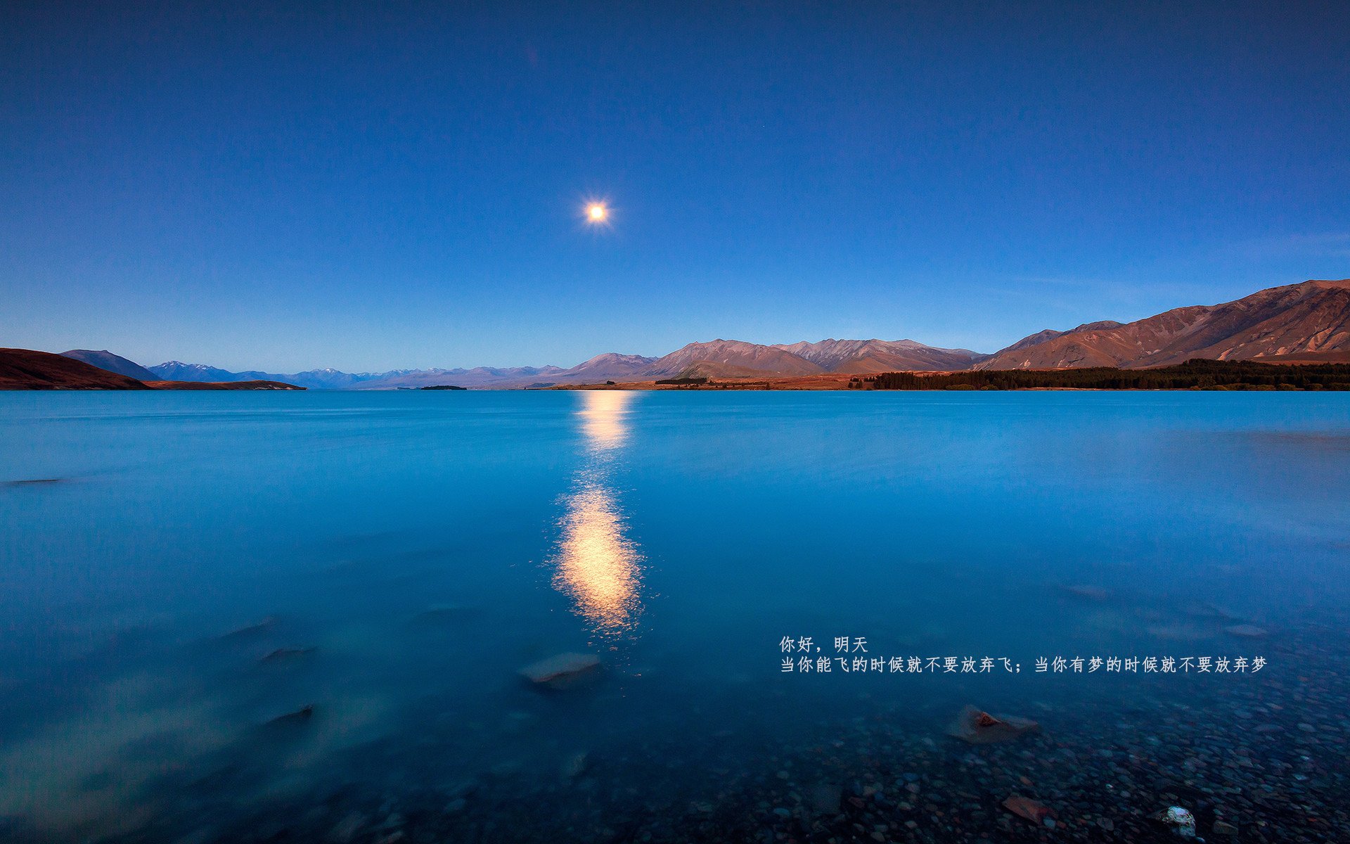 AYX GAMING-T1战队蝉联国际冠军，t1战队比赛