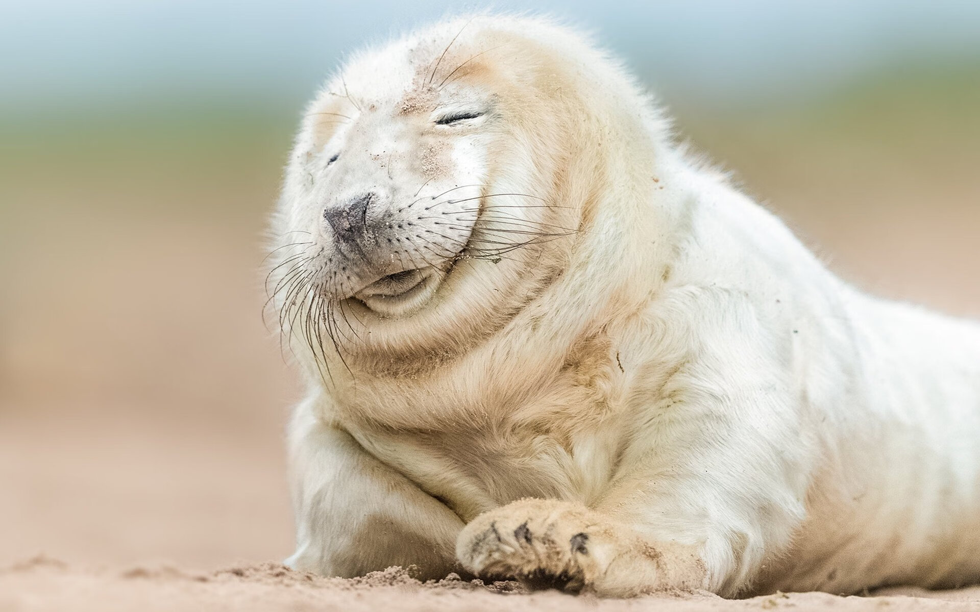 四川金强球队战术执行力增强,四川金强球迷协会微博