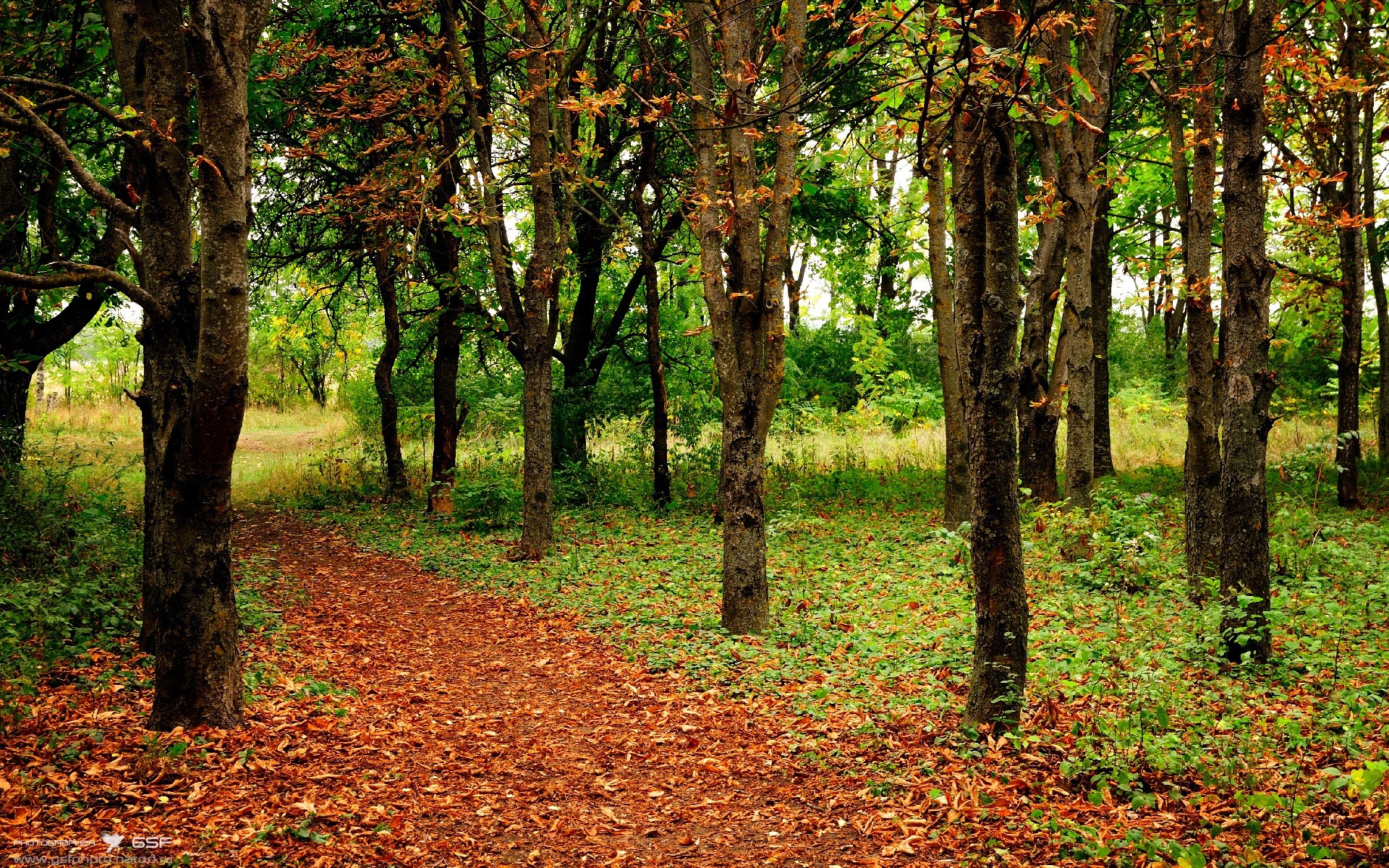 国际足球环境激动人心，球队实力尽显，国际足球强队