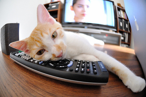 尤文图斯客场逆转 曼联遭遇连败,尤文图斯客场逆转 曼联遭遇连败是哪一年