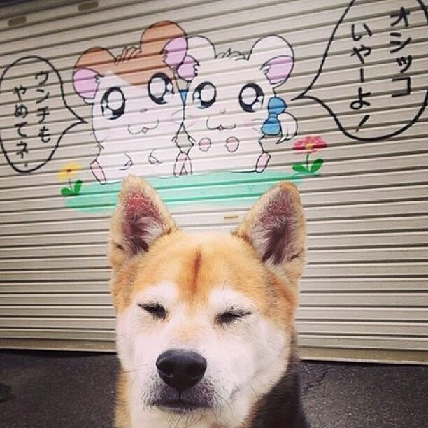 AYX体育-比利亚利德励志逆袭，客场大胜实现翻盘，比利亚集锦