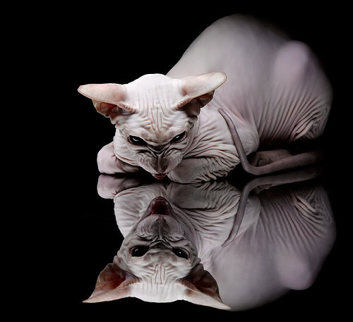 中小学体育课程创新教学设计，小学体育创新课教案