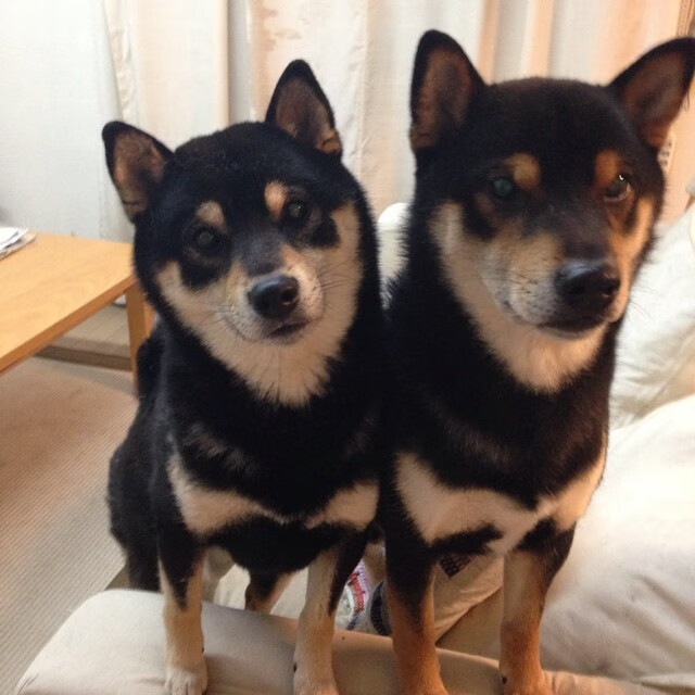 篮球运动员竞技状态实时监控系统设计与应用,篮球比赛摄像