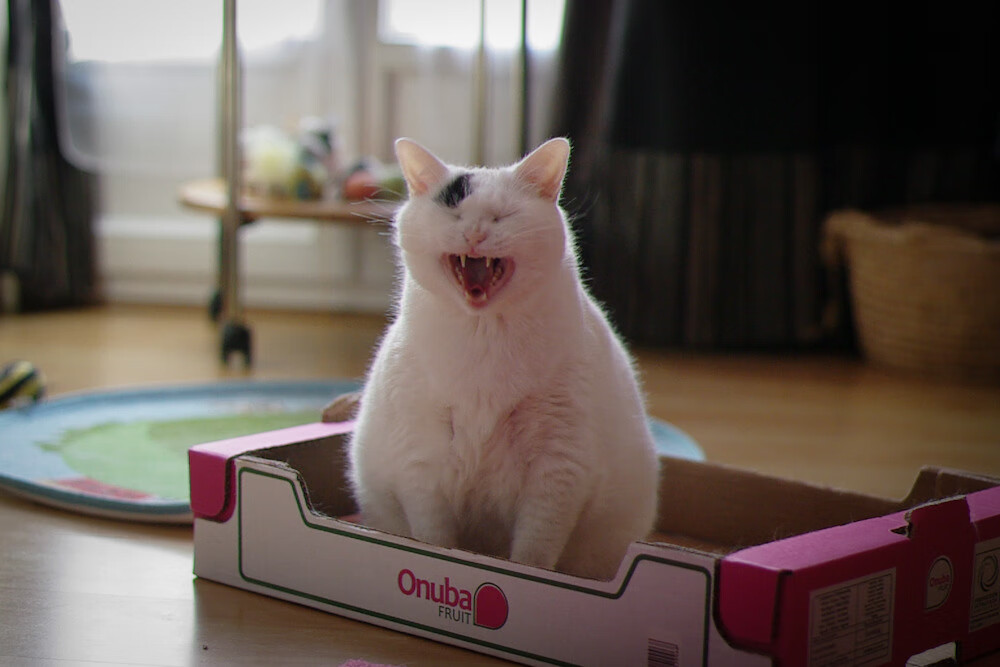 “看壁球，等精彩！高新区全民健身馆赛事让你大呼过瘾”