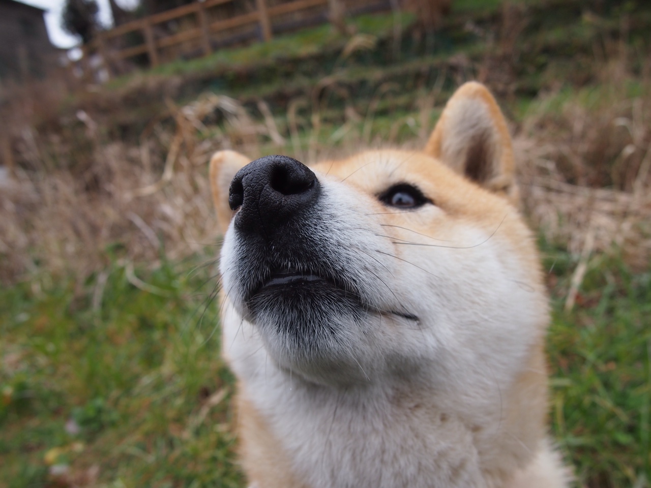 爱游戏-中超联赛中国女足复仇 球迷情绪爆棚，中超女足比赛