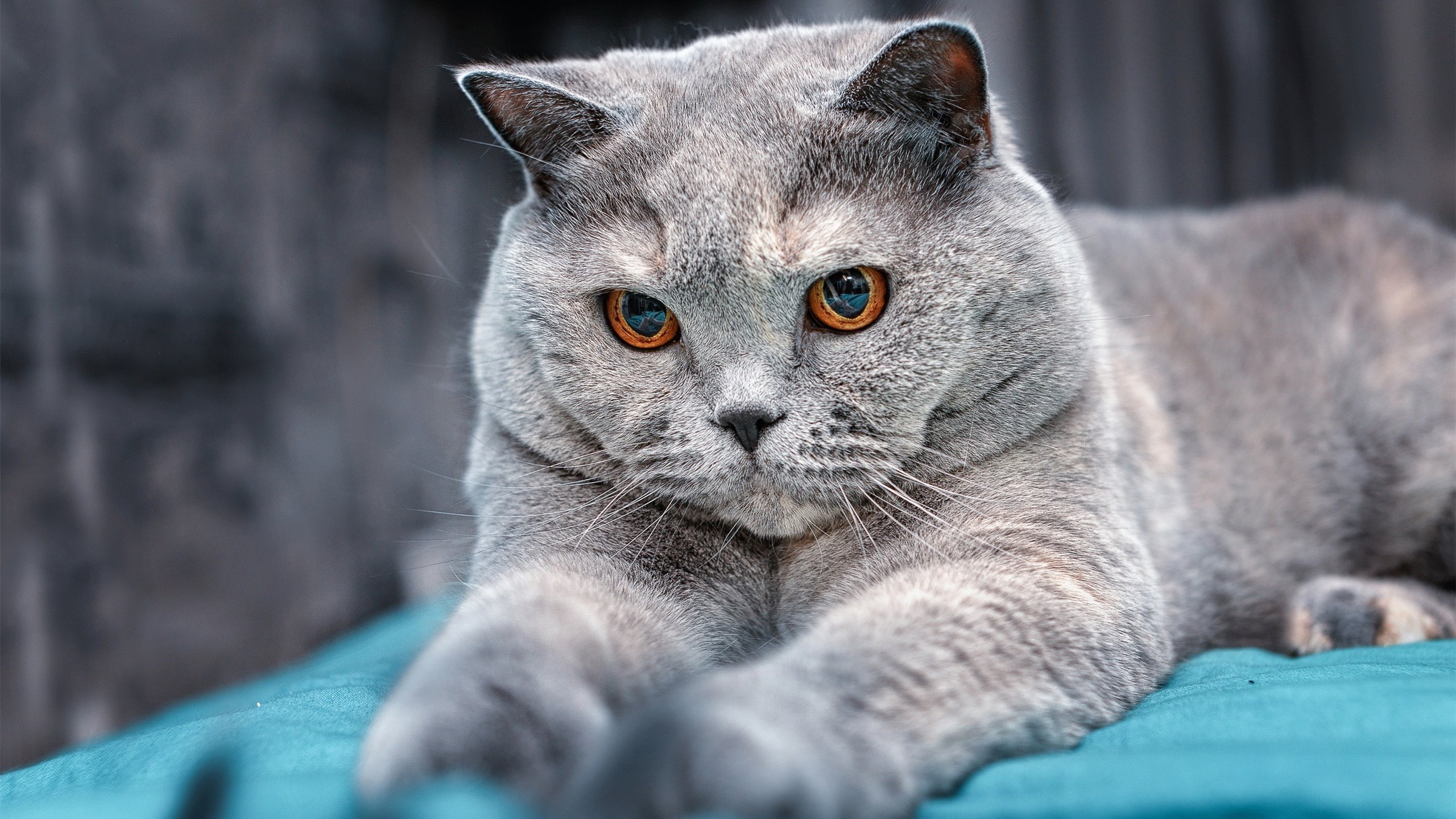 从兴隆湖出发，竞技体育迈向新高度，兴隆湖东侧