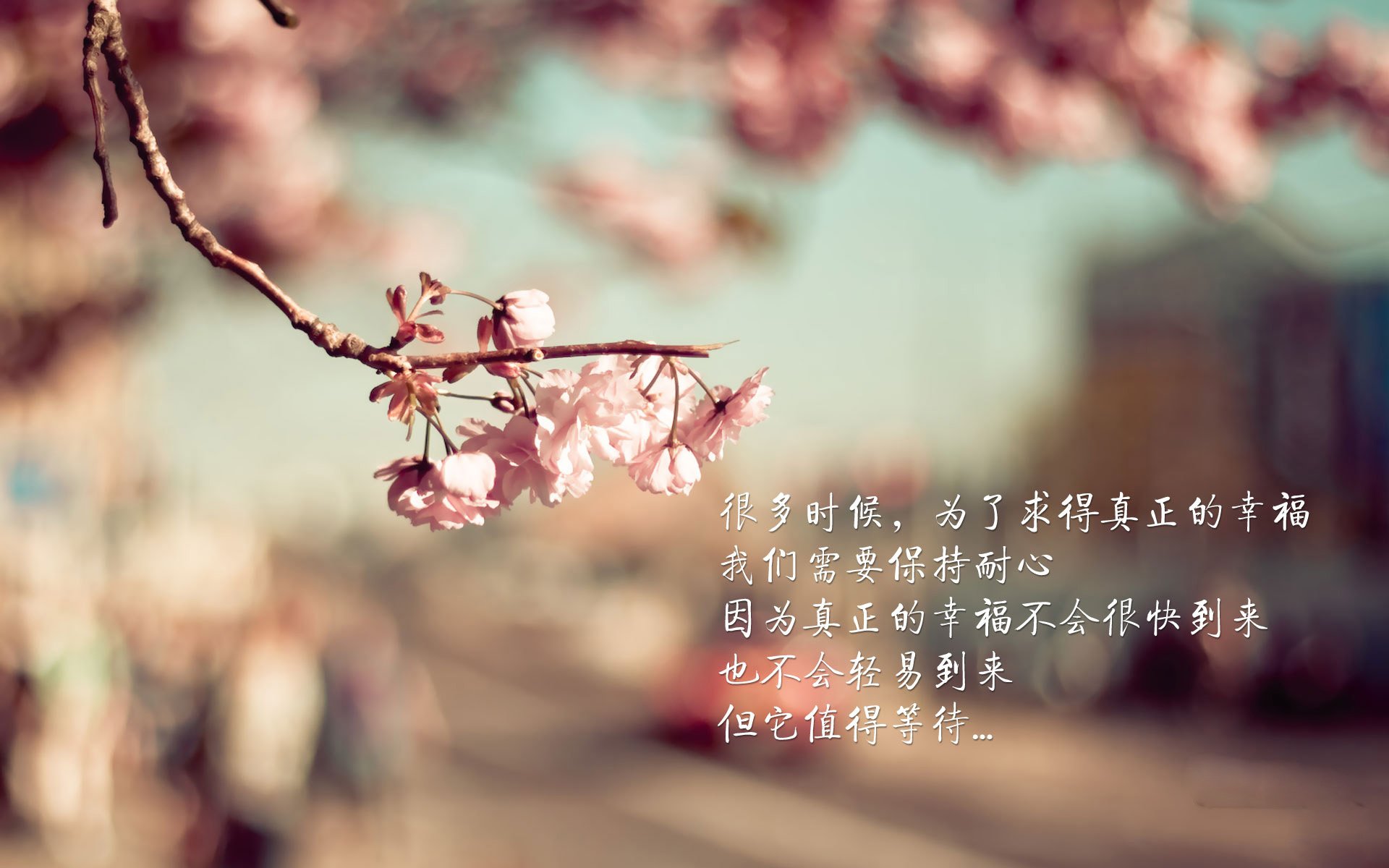 博洛尼亚三线均衡战术执行效果显著,博洛尼亚缝