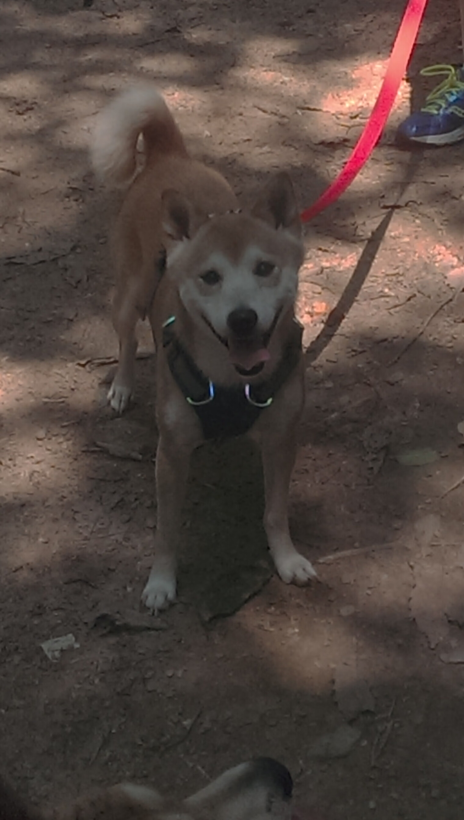 爱游戏登录入口-国际热身赛国家队爆冷 战术布局引发热议，国际热身赛直播