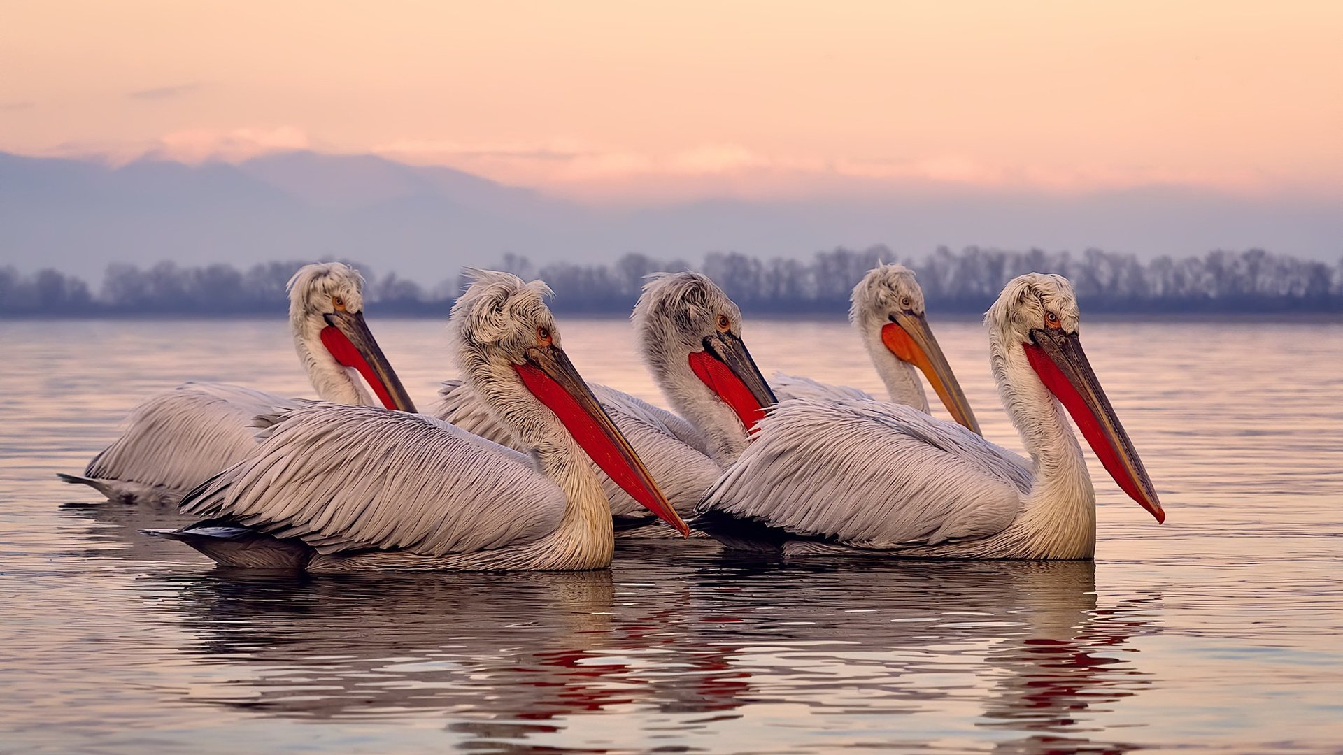 爱游戏app-奥预赛中国女足战平 球迷支持球队努力，中国女足奥预赛第一阶段