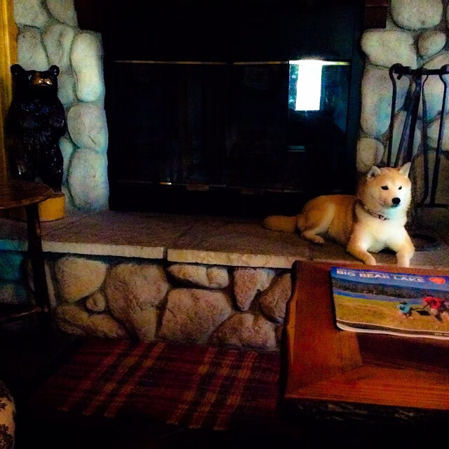 数据模型能否预判五大联赛赛季中段黑马走势,五大联赛大数据特性精细汇总