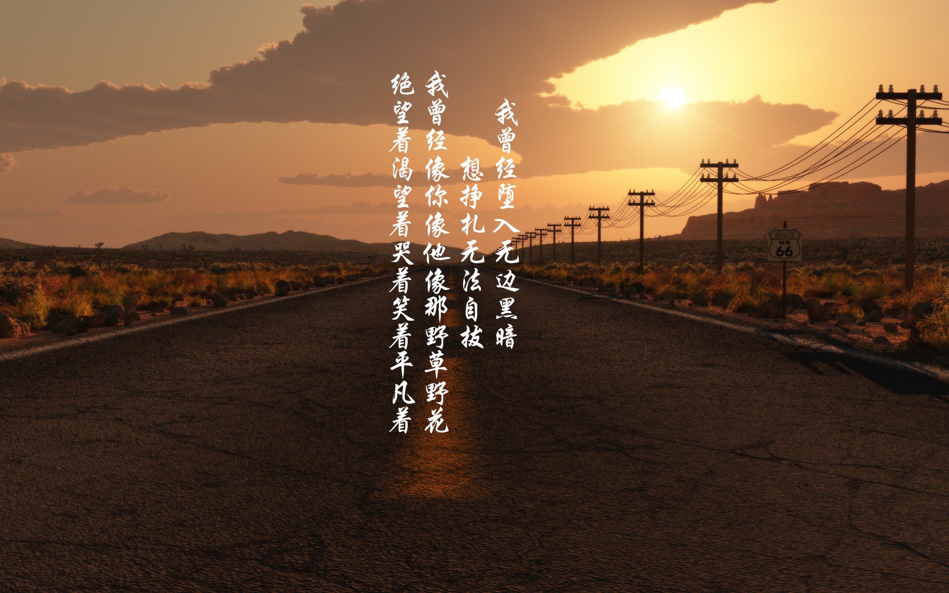 澳大利亚乒乓球未来的目标:在全球比赛中稳步前行,澳大利亚乒乓球选手