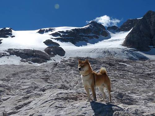 混合双打赛制引爆热潮,观众期待精彩对决,混合双打决赛几局几胜