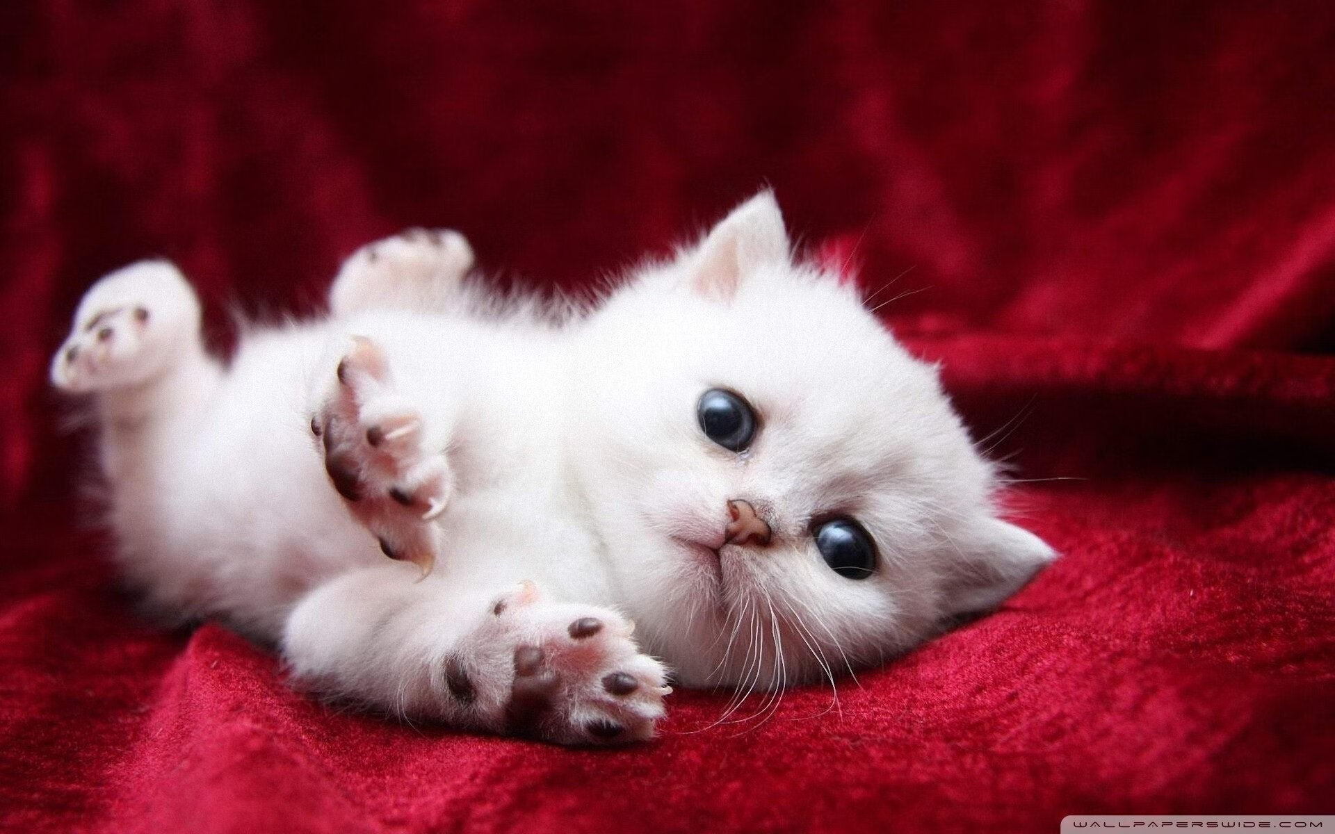 爱游戏电竞官网-勇士训练营引进虚拟实境增强模拟，勇士训练场