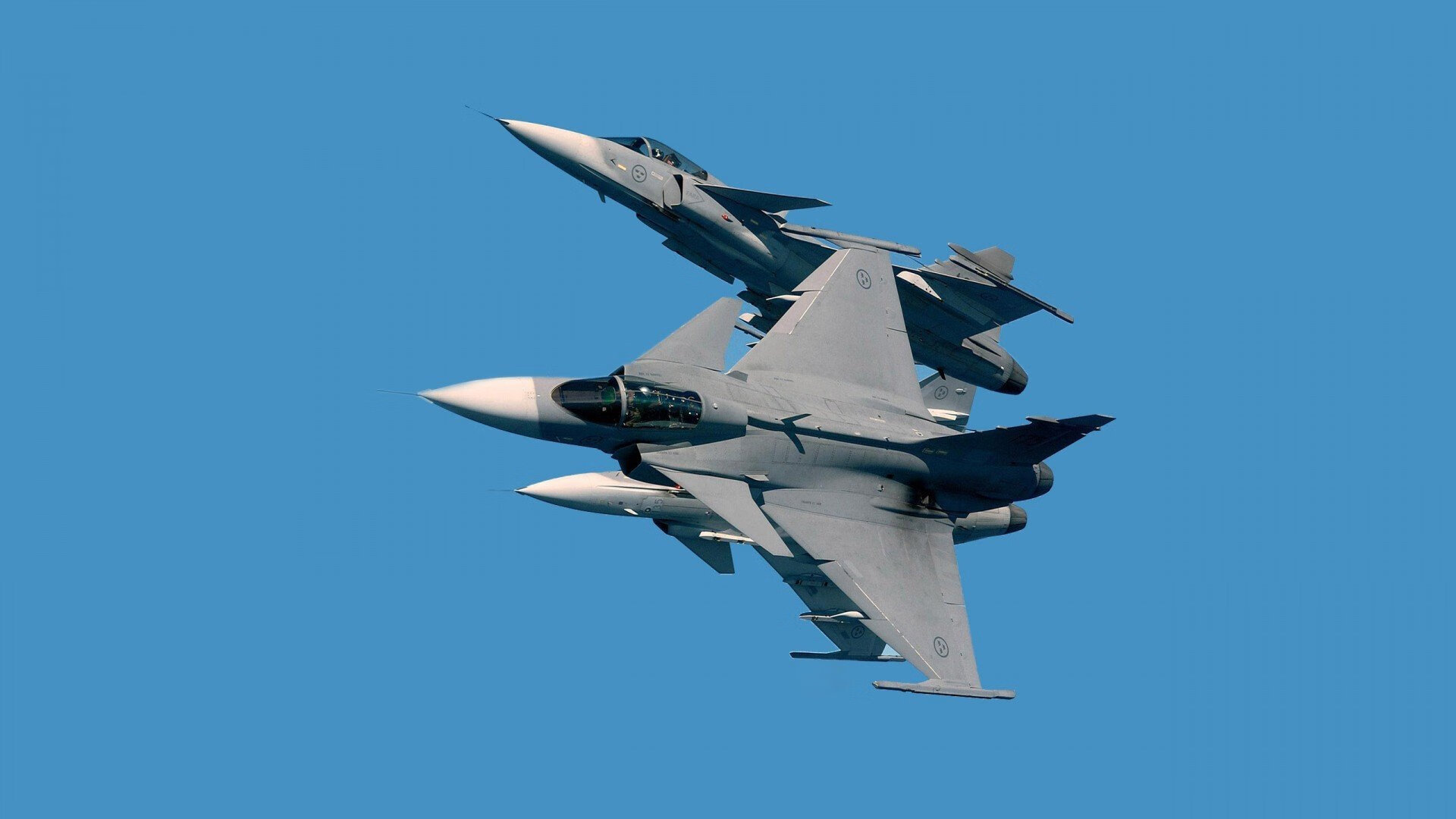 澳大利亚袋鼠队的防守反击,关键时刻掀起转折,澳大利亚袋鼠问题