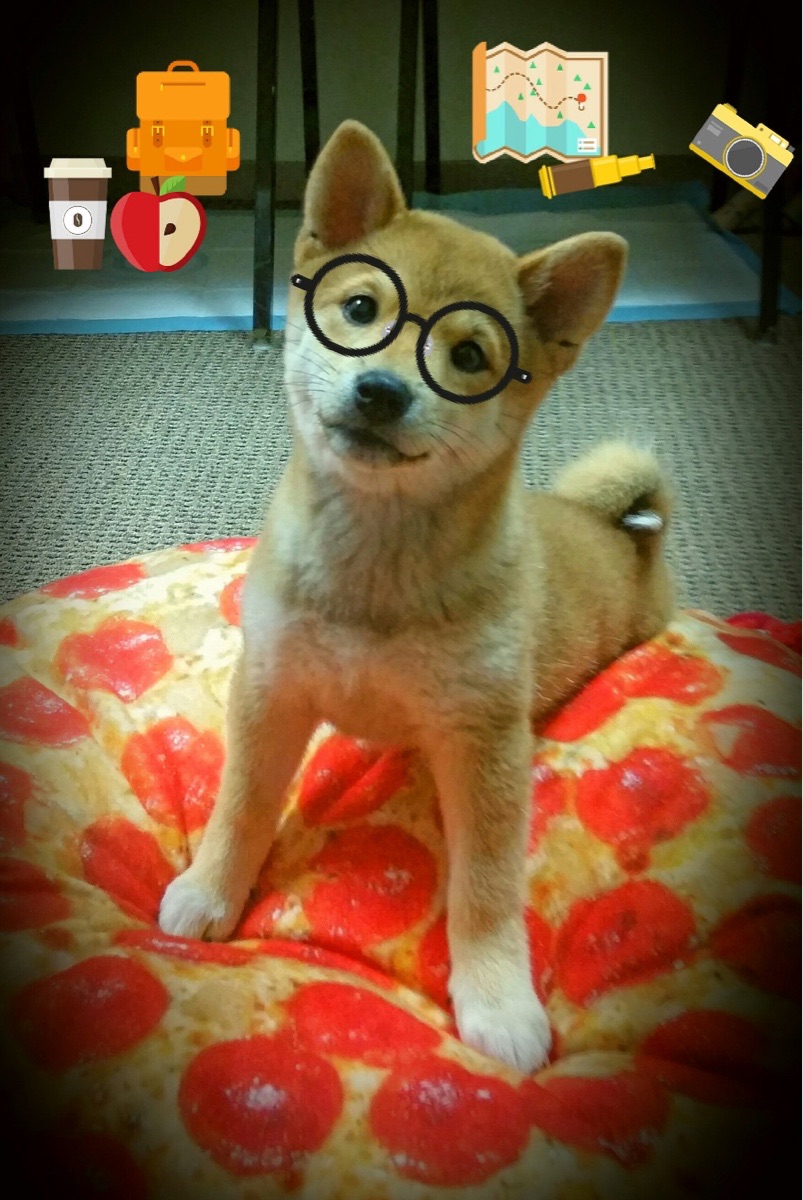 马刺新援展现拼劲赢得教练组认可，马刺队首发