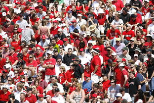 爱游戏体育app-体育赛事观众满意度影响因素研究，体育赛事关注度